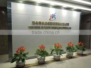 Yong Sheng Jia Plastic Chemical (Shantou) Co., Ltd. company overview - view 1