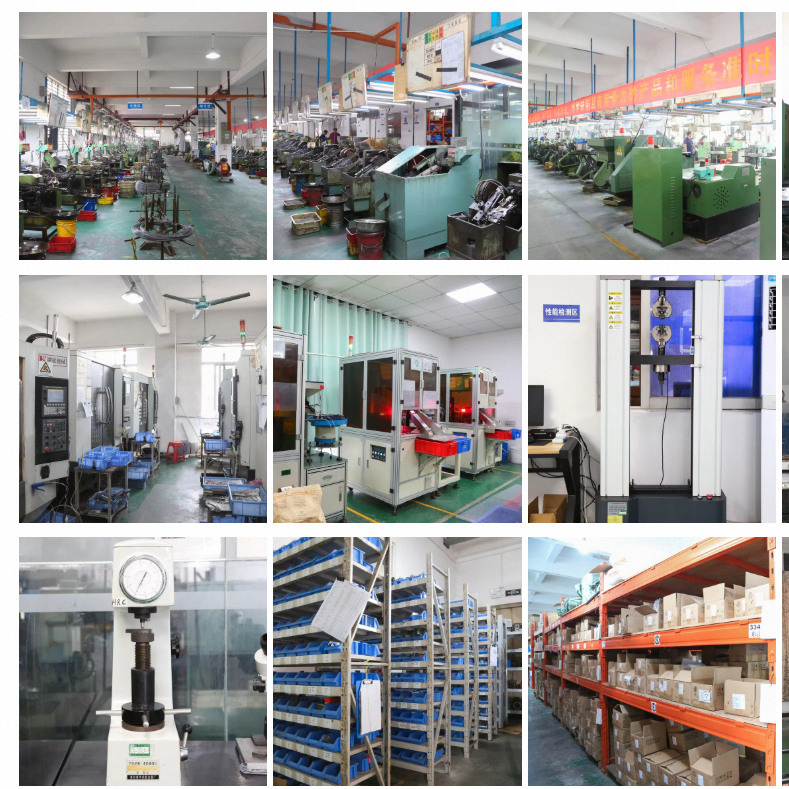 Dongguan Dalang Dongxin Hardware Factory company overview - view 1