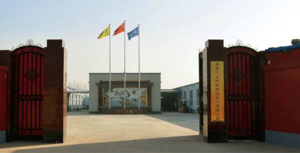 Shijiazhuang Hongsu Textile Import & Export Co.,Ltd. company overview - view 1