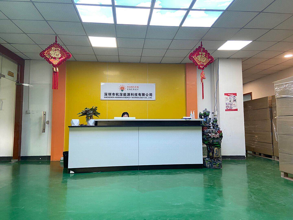 Shenzhen Hansen Energy Technology Co.ltd. company overview - view 1