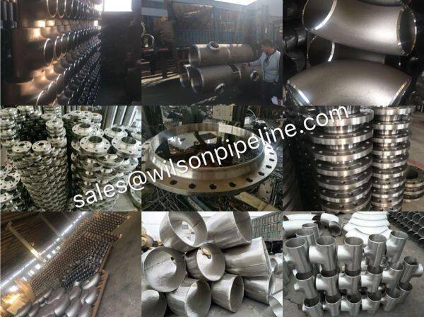 Cangzhou Wilson Pipeline Co.,ltd company overview - view 1