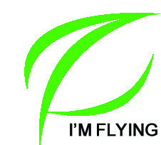 Dongguan I Am Flying Industry Co.,Ltd