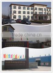 Linyi Yulong Building Materials Co., Ltd. company overview - view 1