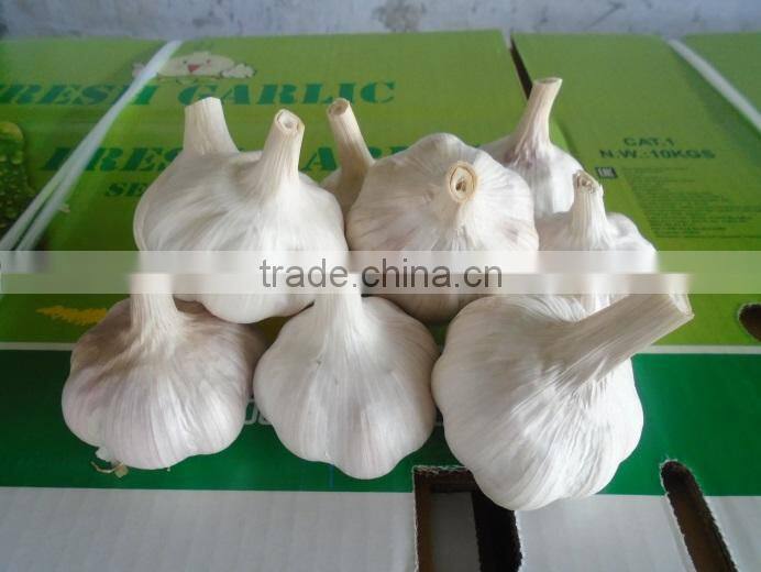 Jining Pretty Jade Food Company Limited company overview - view 4