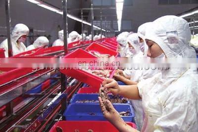 Manufacturer Shanghai Factory automatic TUNA CHUNKS CANNING MACHINE canned fish in oil production line processing plant