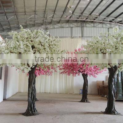 GNW Technology Co., Ltd. company overview - view 2