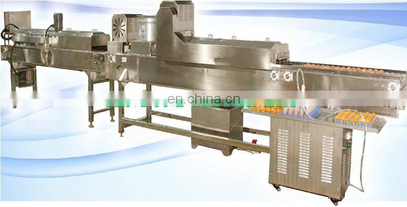 Brand new automatic egg sorting machine