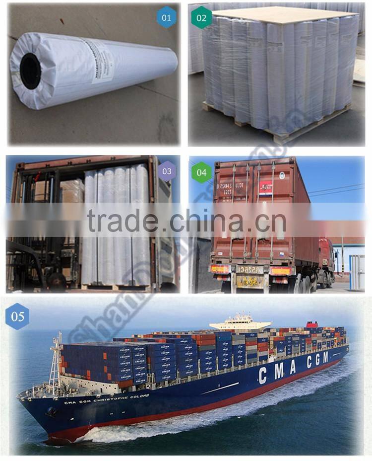 High quality TPO waterproof coiled material