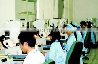 Shenzhen Glistening Technology Company Limited company overview - view 2