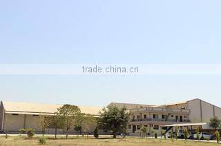 Gayatri Psyllium Industries company overview - view 2