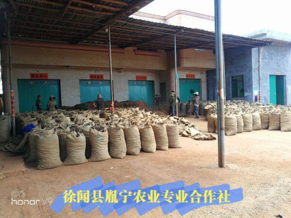 Yinning Agricultural Cooperatives In Xuwen County company overview - view 1