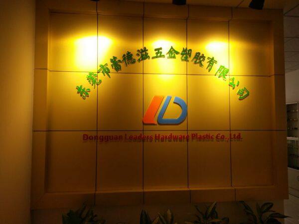 Dongguan Leaders Hardware Plastic Co.,Ltd company overview - view 1