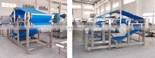 shanghai turkey orange juice processing machine/line