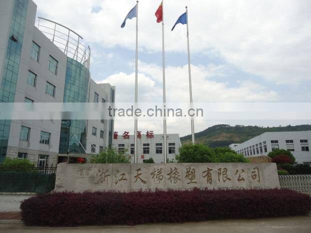 Zhejiang Tianti Rubber & Plastic Co., Ltd. company overview - view 2