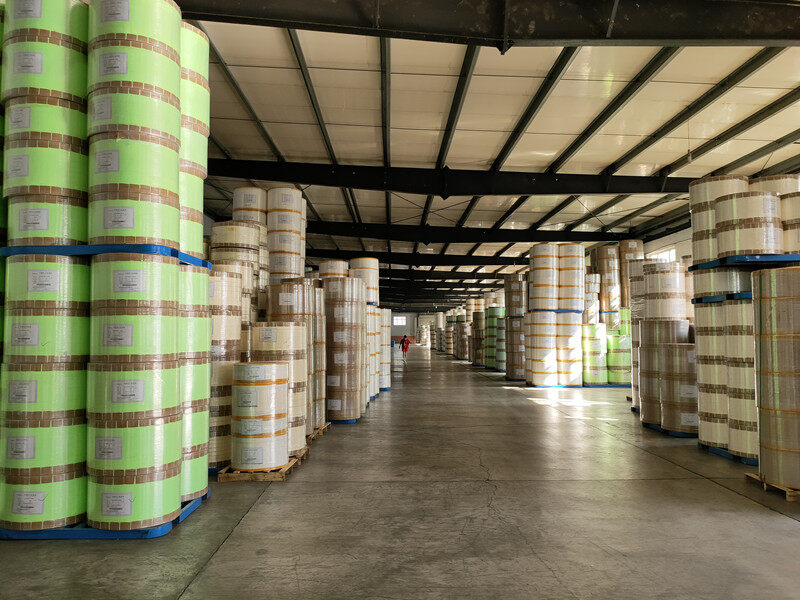 Tianjinsheng Non-woven Technology Co., Ltd. company overview - view 4