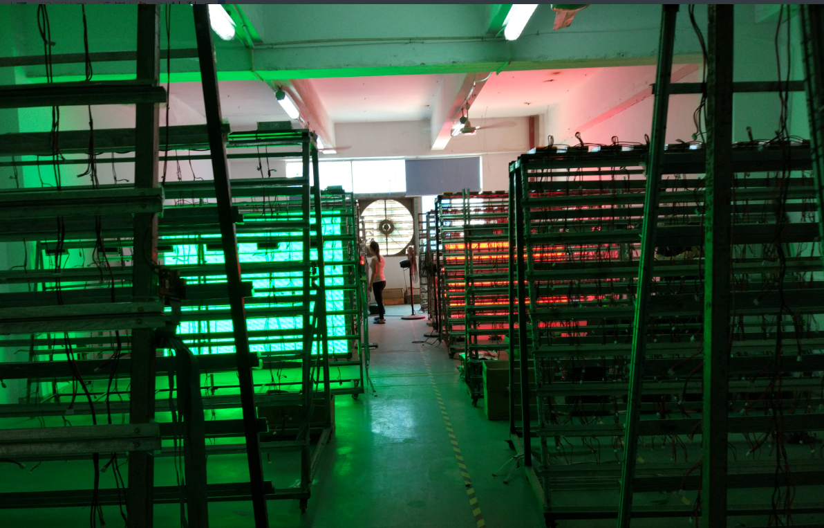 Shenzhen Xuanbo Optoelectronics Technology Co., Ltd company overview - view 3