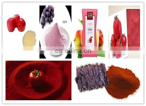 High-quality soy/soybean/soya milk powder production line with