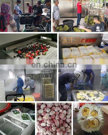 Tunnel freezing and flash freezing machine food with nitrogen