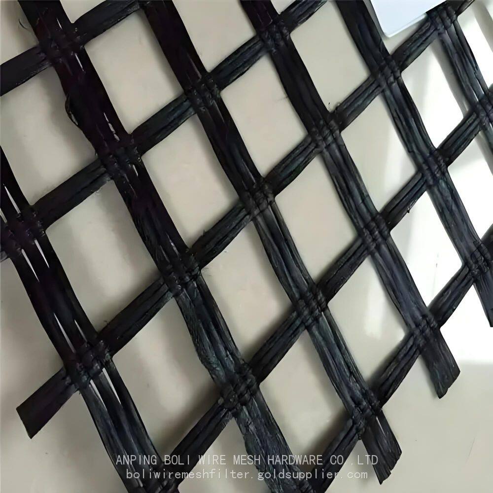 玻纤土木格栅 (3)