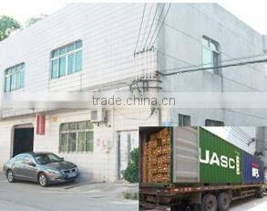 Foshan Meidike Photographic Equipment Co., Ltd. company overview - view 4