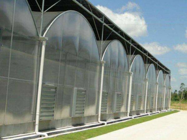 qing zhou shi zhongxing Greenhouse Engineering Co., Ltd