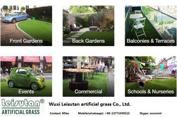 Wuxi Leisutan Artificial Grass Company Limited company overview - view 1
