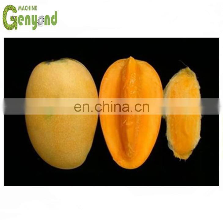 Mango hot water treatment plant