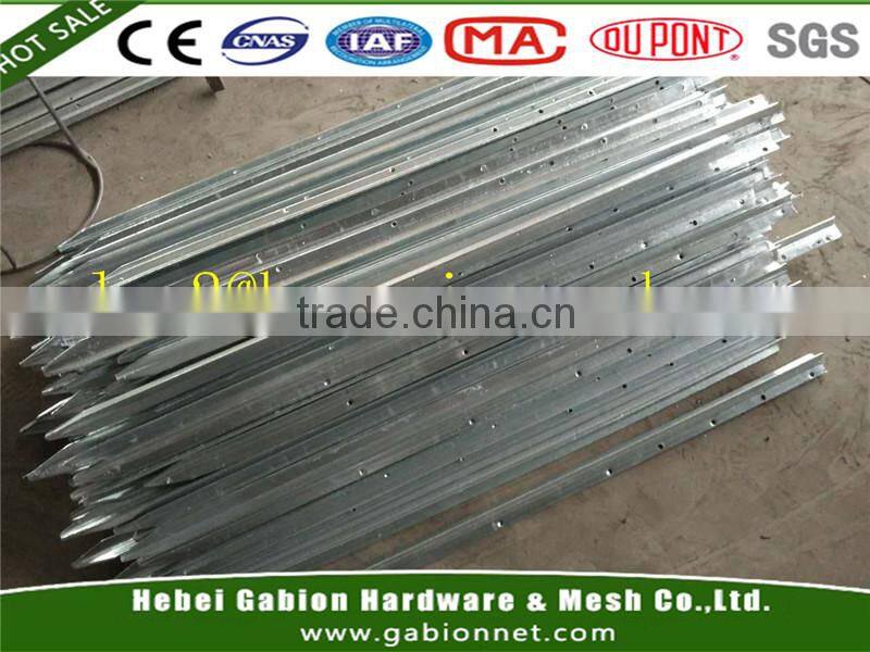 Suqian Xinzhe Thread Co., Ltd. company overview - view 3