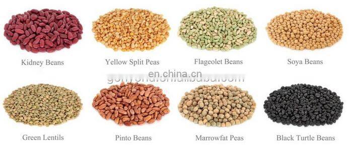 shanghai automatic soy bean washing machine