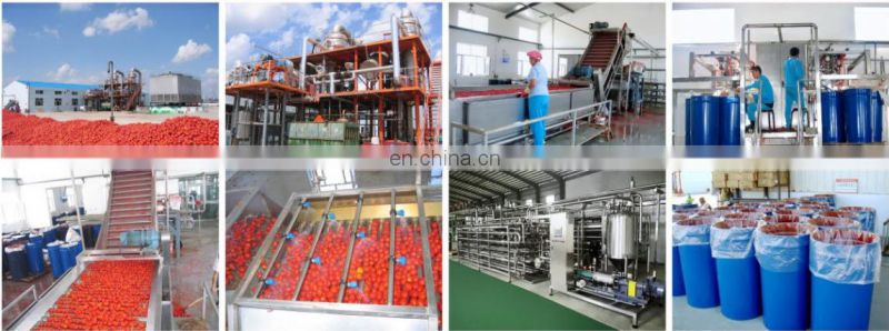 Tomato paste ketchup making machine/ tomato sauce fruit jam processing machine