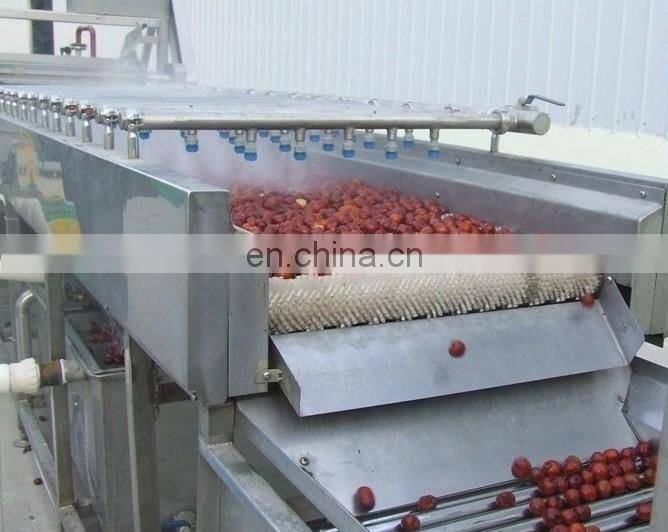 Fruit washing machine/strawberry cleaning /blueberry cleaning machine