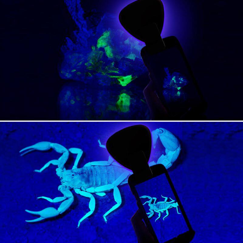 EyeCaring 5 Brightness Levels 5 Lighting Modes LED adjustable Table Lamp with Wireless USB Charging Port