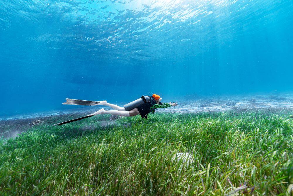 fb32215b839cf5b5a5a77cf62ef9275