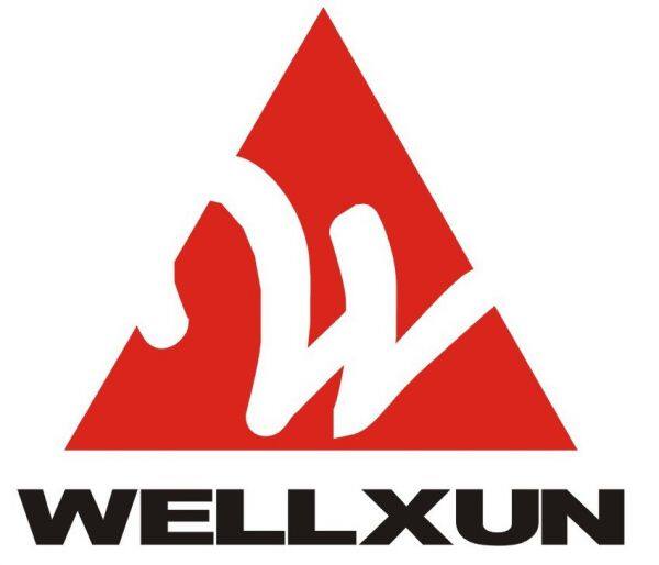 SuZhou Wellxun Info-Tech CO., Ltd