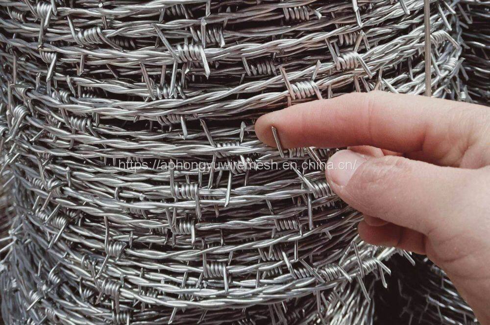 709C5683-DA64-4031-97C8-54F530B2DB3A(20210423-213