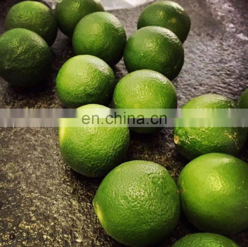 industrial electric orange&lemon peeling machine