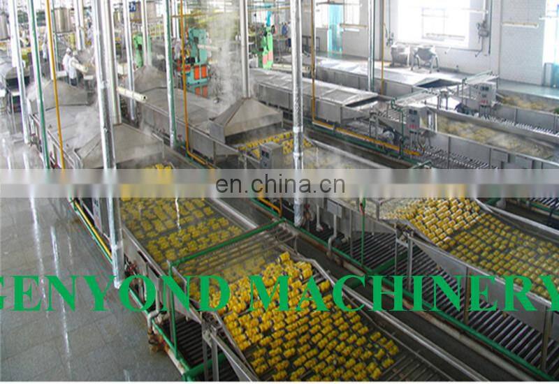 Small scale canned mandarin orange processing plant