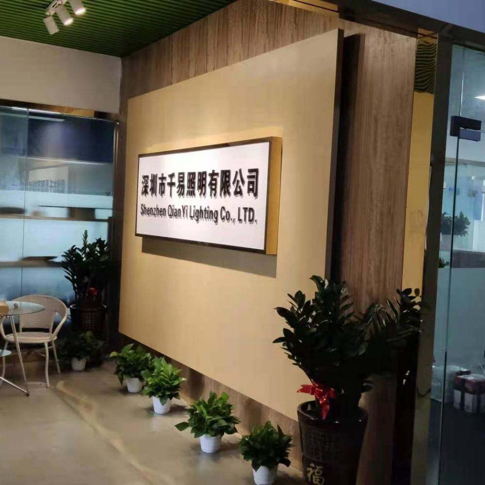 Shenzhen Qianyi Lighting Co., Ltd. company overview - view 1