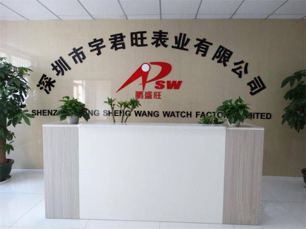 Shenzhen Pengshengwang Watch Co.,Ltd company overview - view 1