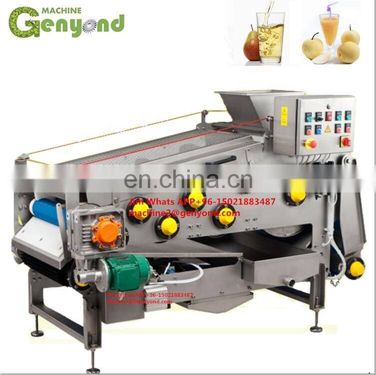Best selling fruit juice processing plant pomegranate juice processing machines for sale belt press for juice