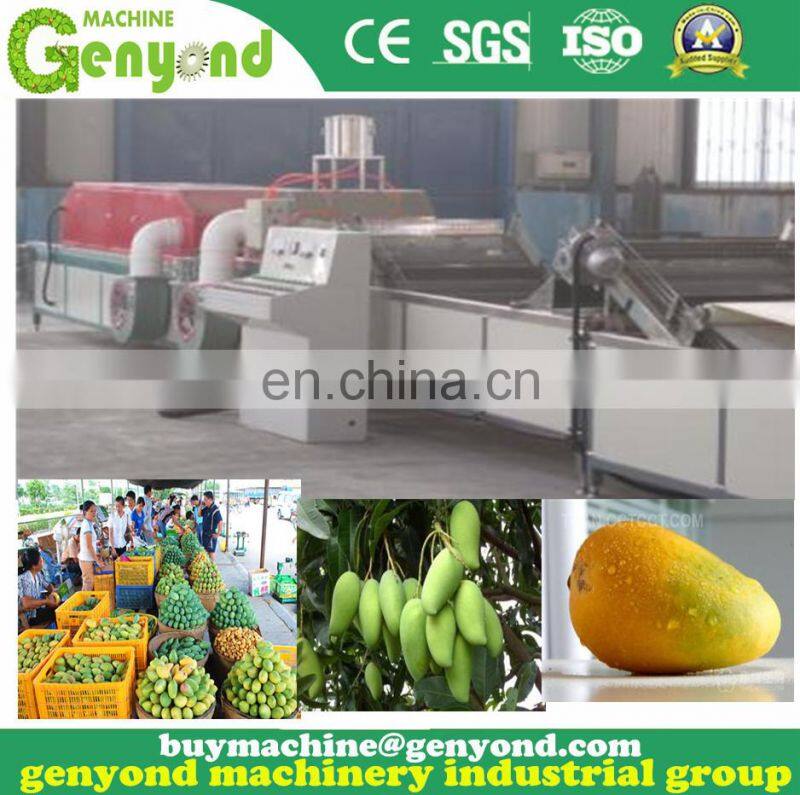 Mango hot water treatment plant