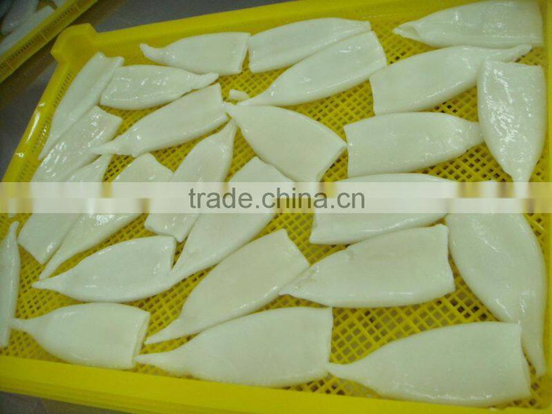 Frozen Squid of seafood from China Suppliers - 129011115