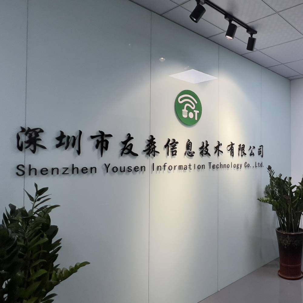 Shenzhen Yousen Information Technology Co., Ltd. company overview - view 1
