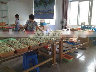 Shengzhou Kaile Recreation Co., Ltd. company overview - view 1
