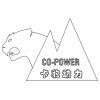 WuXi Copower Technology Co;.Ltd