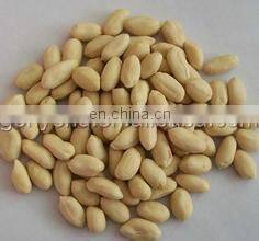 China peanut roasting and peeling machine