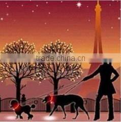 Shenzhen Jk-luxuries Pet Product Co., Ltd. company overview - view 2