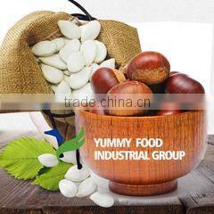Yummy Food Industrial Group company overview - view 2