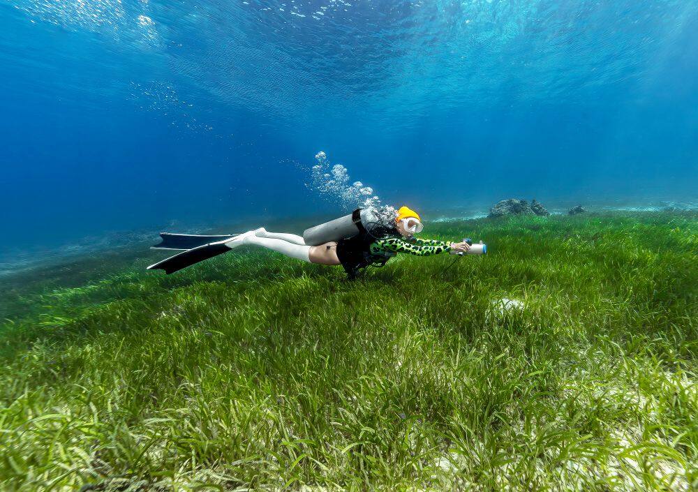 aef556fbd53fbcbf928c28b3d3f3f8a