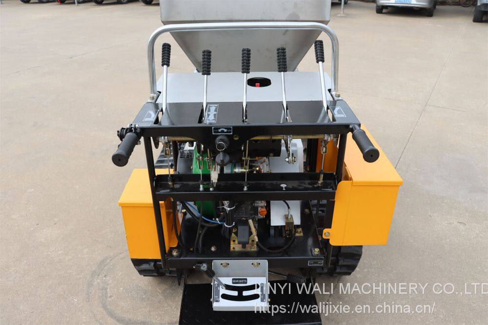 长方形主图 (43)